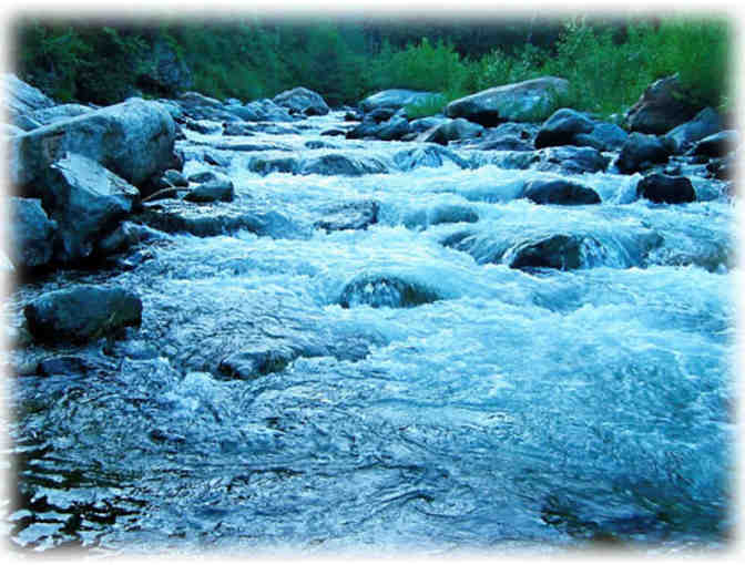 CA - Sierra City - Sierra Pines Resort - 1 Night Get Away