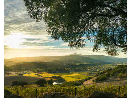 Sonoma Wine Country Experience