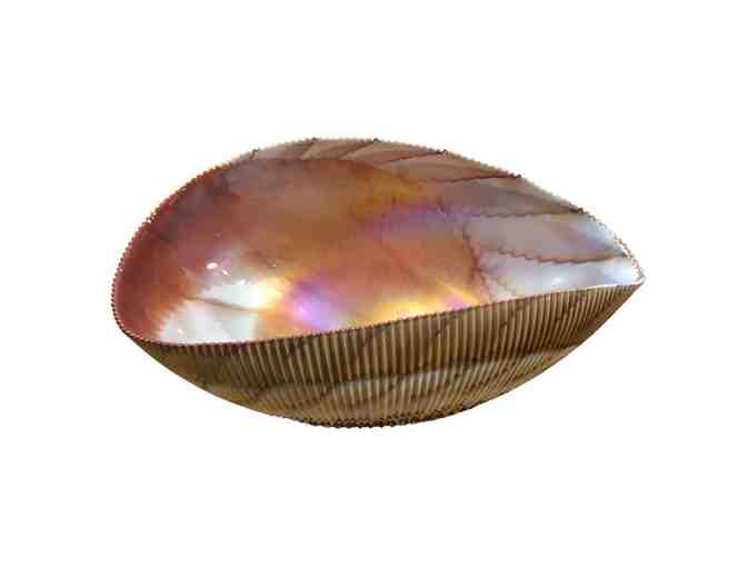 Shell Bowl