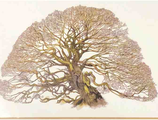 Tree note cards- By Victoria Elbroch