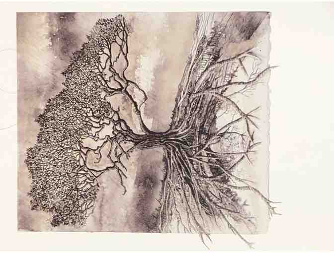 Tree note cards- By Victoria Elbroch