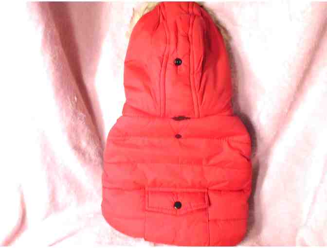 Red winter coat for your dog