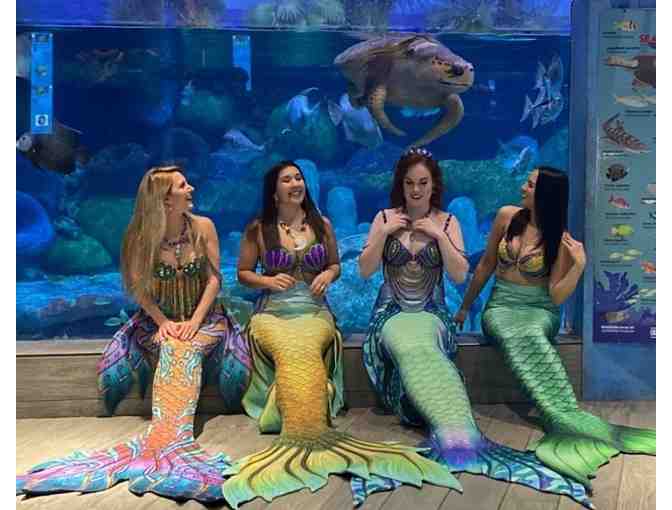 Four Tickets to Oklahoma Aquarium (JENKS, OK)