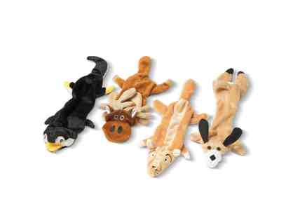 Stuffing Free Squeaky Dog Toys - Set of 4