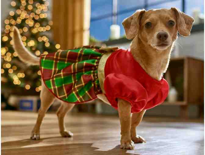 Red and Green Plaid Dog Dress size M