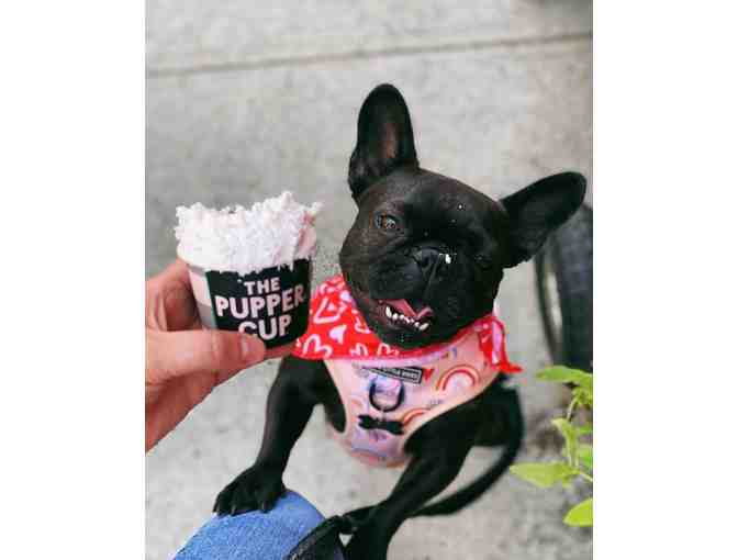 Cornerstone Pets - $50 Gift Certificate