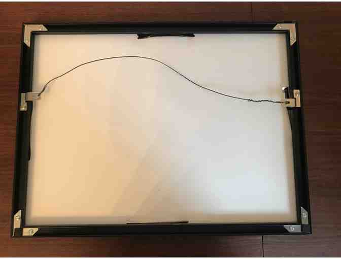 Framed Print Wildlife Photograph