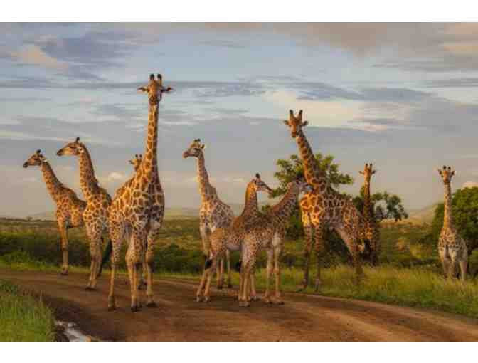 African Photo Safari for 2
