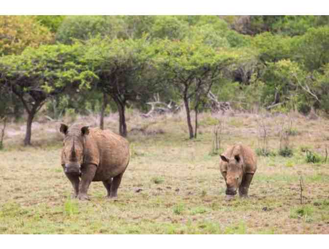 African Photo Safari for 2