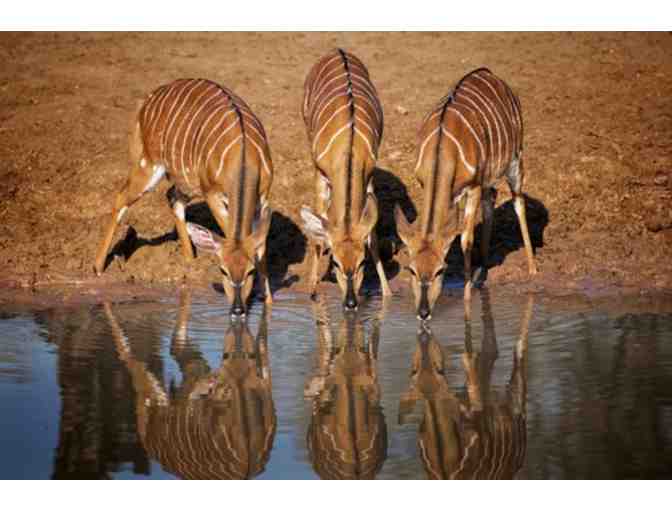 African Photo Safari for 2
