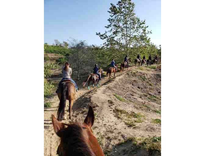 One Hour Trail Ride For Two at Horse Play Rentals (#2)