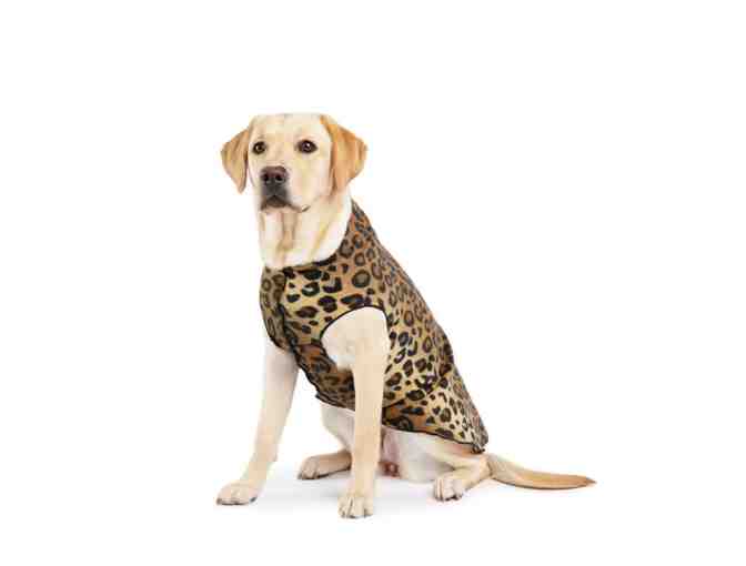 Certificate for an original Stretch Fleece or Sun Shield Tee from Goldpaw