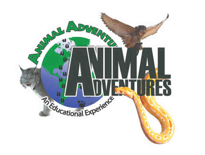 Animal Adventures - Photo 1