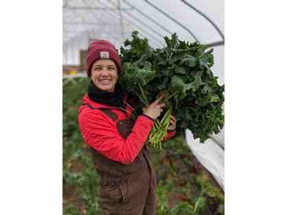 FOOTPRINT FARM One *Spring* CSA Share *Fresh Greens, Roots, and Add-ons!