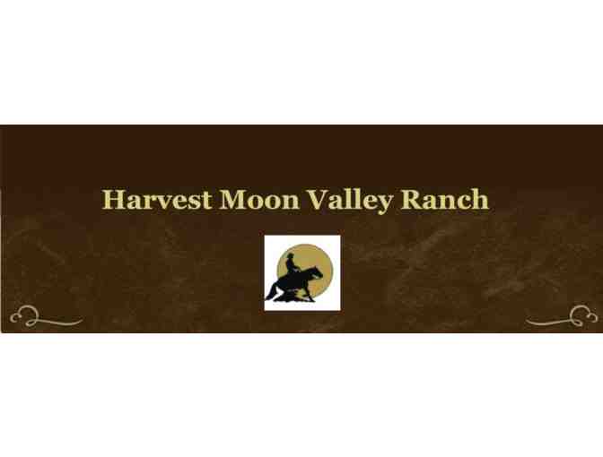 15% off Pony Party with Harvest Moon Valley Ranch at your location! (Near Starksboro VT) - Photo 3