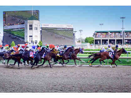 #Enjoy the Crown Jewel of Horse Racing, Louisville# 4 Days Hotel + B'fast+Horse Farm Tour