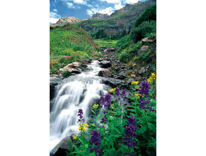 Mountain Village Enclave (Telluride, CO) *5 Days for four ppl+adventure+taxes+more - Photo 4