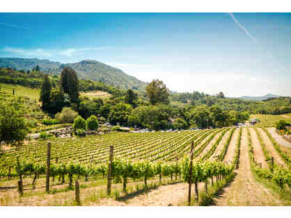 Wine Country Paradise (Sonoma, CA) *Four Days at Fairmont Sonoma+Winery+Sedan