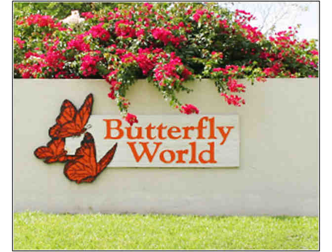 Butterfly World Tickets - Photo 2