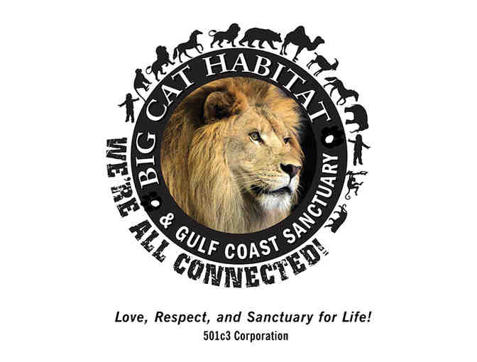 Big Cat Habitat and Gulf Coast Sanctuary Gift Certificate - Photo 1