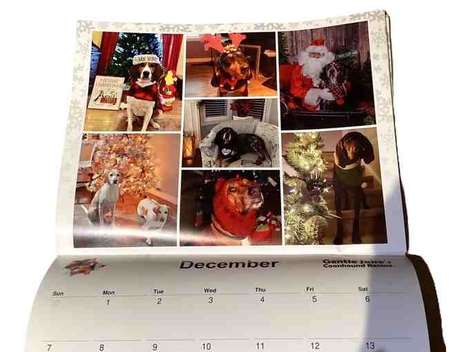 2025 Gentle Jakes Coonhound Rescue Wall Calendar